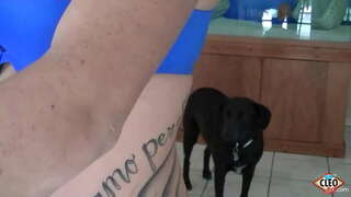 Inked Babe Wake Cleo anapenda kutoa mkono kusaidia wakati big dick mahitaji ya kutolewa stress, hata zaidi kama yeye anaweza kupata joto cum yote juu ya tits yake! Hivyo nzuri! Kamili Video &amp;amp; Yote Ya Yake Cleo @ ItsCleoLive.com!